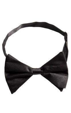 Bristol Novelty Black Bow Tie Accessory 1920's