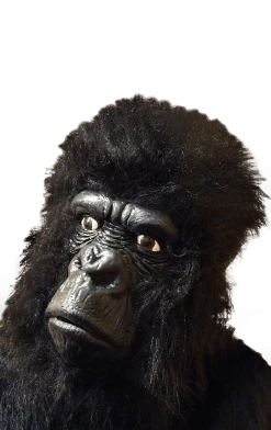 Smiffys Large Gorilla Facepiece With Hair Animals