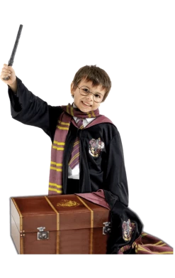 Rubies Childrens Deluxe Harry Potter Costume And Trunk Book Characters