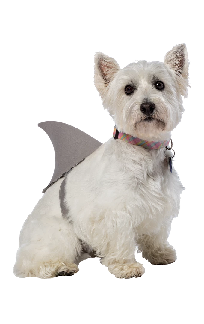 Rasta Imposta Shark Fin Dog Costume 1 Rasta Imposta Shark Fin Dog Costume