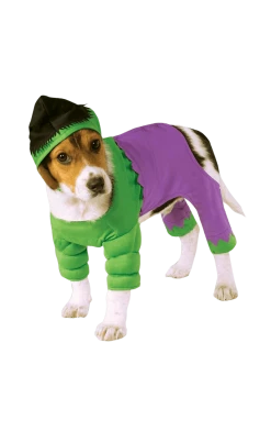 Rubies Movies Incredible Hulk Dog Costume