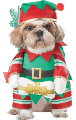California Costumes Elf Pup Christmas Dog Costume