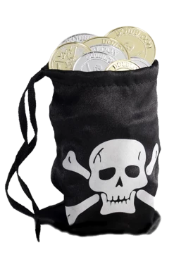 Smiffys Pirate Coin Bag With Coins Book Characters