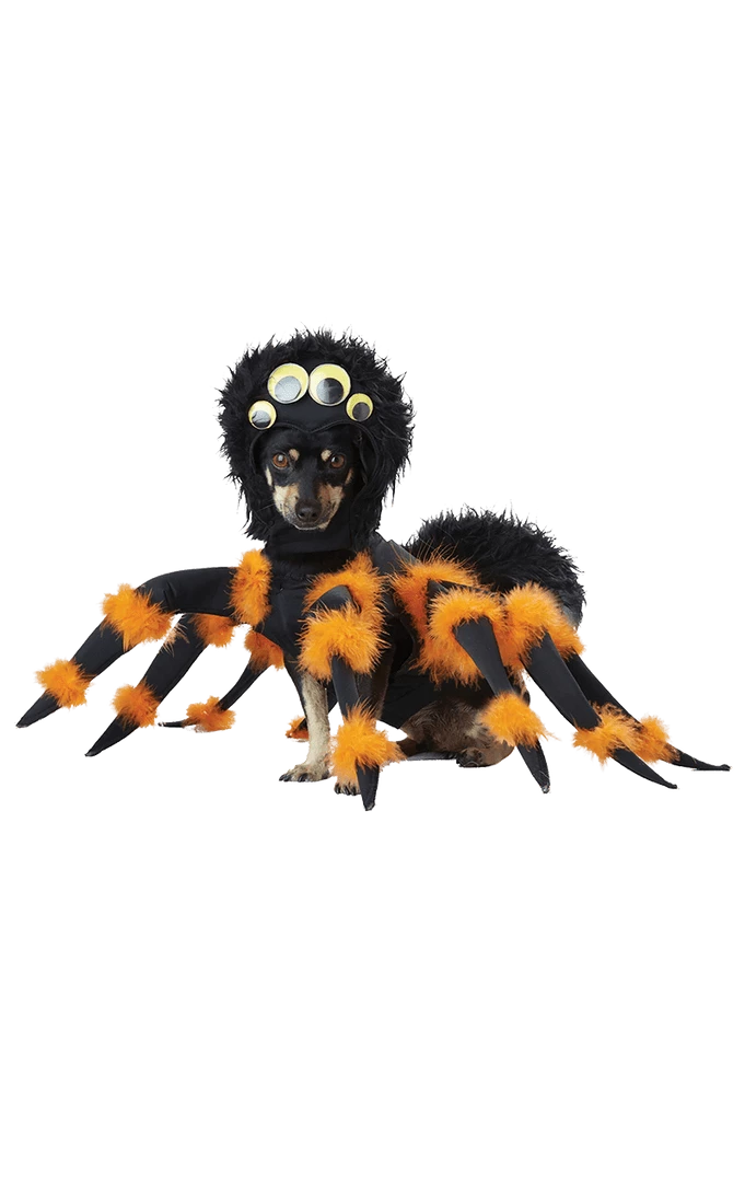 California Costumes Spider Dog Costume Animals 1 California Costumes Spider Dog Costume Animals