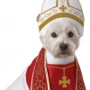 California Costumes Dogs Holy Hound Dog Costume
