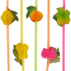 Generic Tropical Fruit Straws