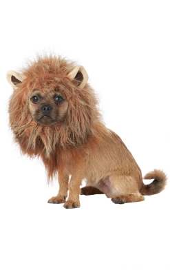 California Costumes King Of The Jungle Dog Costume