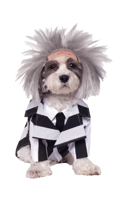 Rubies Beetlejuice Dog Costume