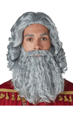 California Costumes Grey Biblical King Wig And Beard Set