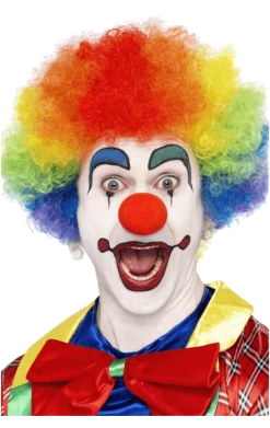 Bristol Novelty Circus Rainbow Clown Afro Wig