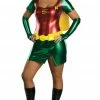 Rubies Cartoons Womens Plus Size Robin Costume