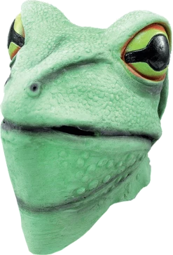 Bristol Novelty Latex Frog Facepiece Animals