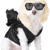 California Costumes Lady Gaga Dog Costume
