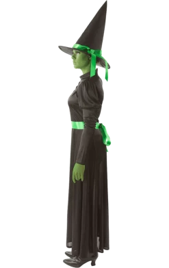 Orion Costumes Adult Wicked Green West Witch Costume Book Characters