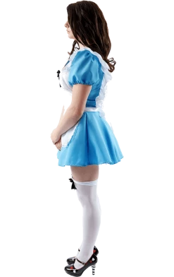 Orion Costumes Adult Original Alice In Wonderland Costume Book Characters