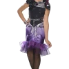 Rubies Ever After High Raven Costume Cartoons