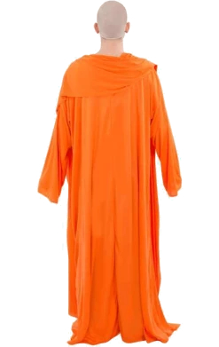 Orion Costumes Adult Buddhist Monk Costume