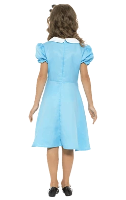 Smiffys Kids Storybook Alice Costume Alice In Wonderland