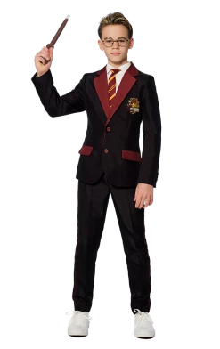 Kids Harry Potter Suitmeister Suit