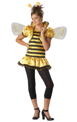 Generic Teenager Honey Bee Costume Animals