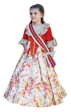 Amscan Kids Floral Countess Costume Book Characters