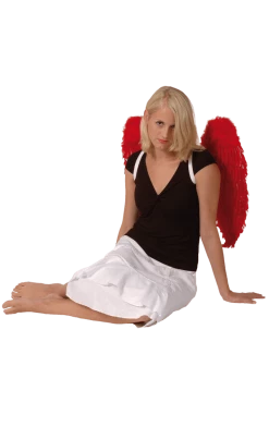 Boland Angels Red Feather Wings 65x65cm