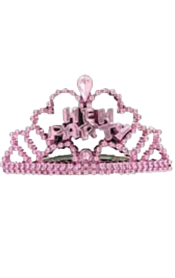 Generic 6 Hen Night Mini Tiaras