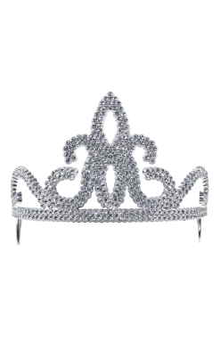 Bristol Novelty Book Characters Silver Tiara Accessory