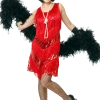 Dreamgirl Costumes Under £20 Jazzy Flapper Dress Costume