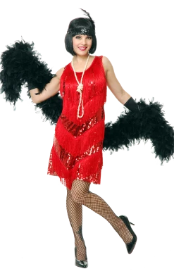 Dreamgirl Costumes Under £20 Jazzy Flapper Dress Costume