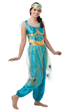 Rubies Adult Princess Jasmine Costume Arabian