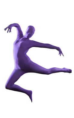 Body Republic Morphsuit Purple Costume