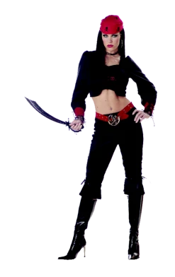 California Costumes Pirate Lady Costume Costumes Under £20