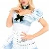 Generic Womens Cameo Alice Costume Alice In Wonderland
