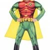 Generic Cosplay & Comic Con Men's Classic Robin Costume